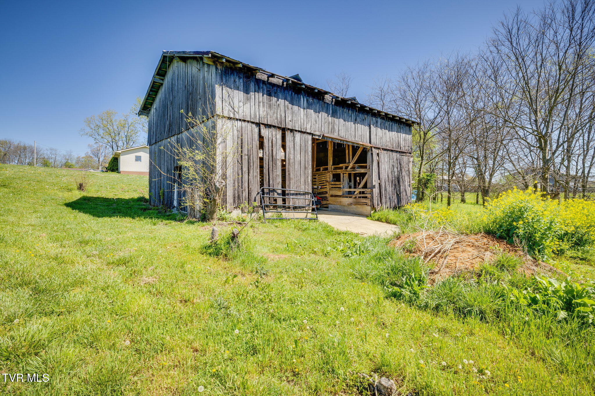 3490 Milburnton Road, Limestone, Tennessee image 23