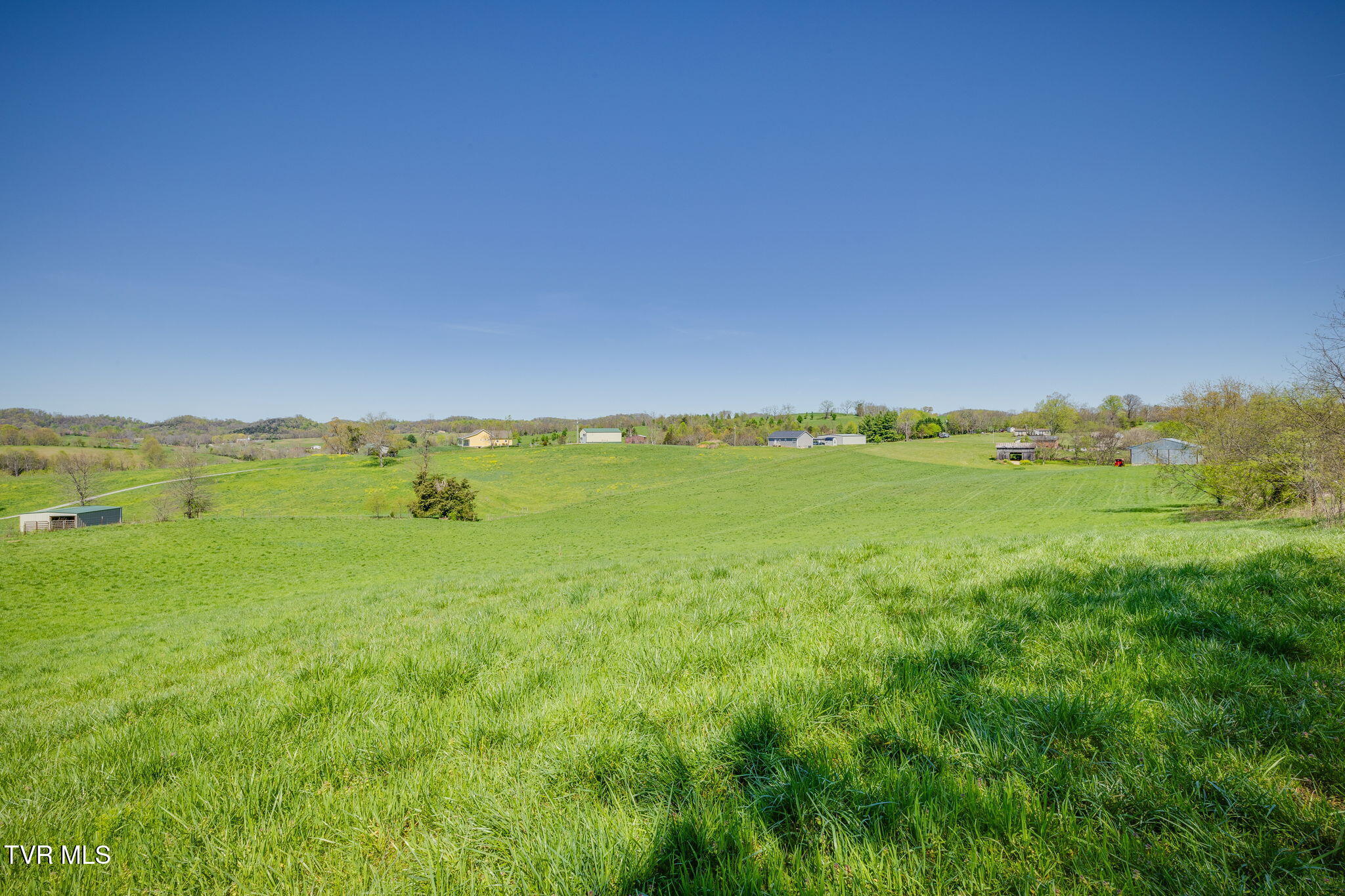 3490 Milburnton Road, Limestone, Tennessee image 1