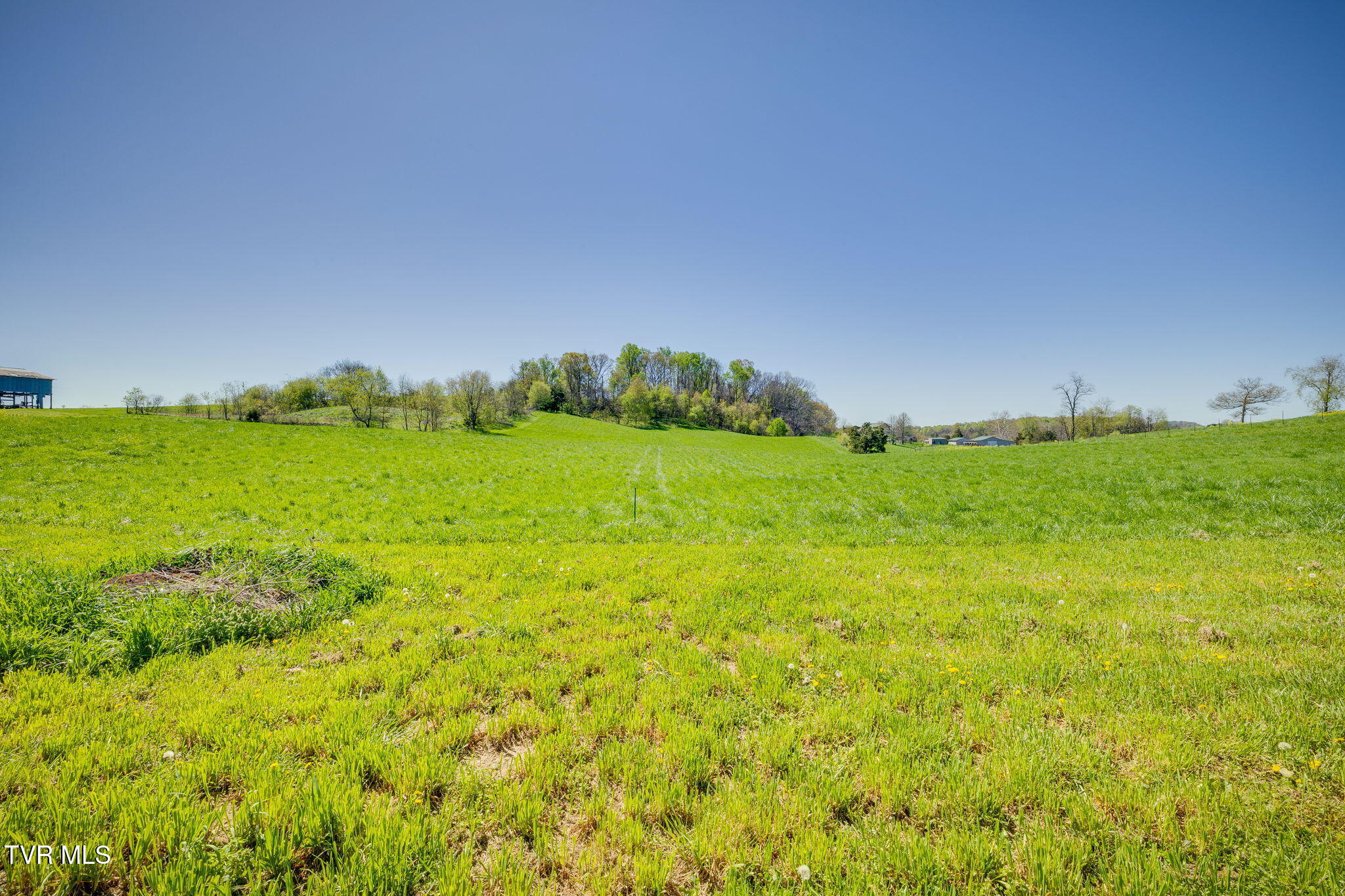 3490 Milburnton Road, Limestone, Tennessee image 19