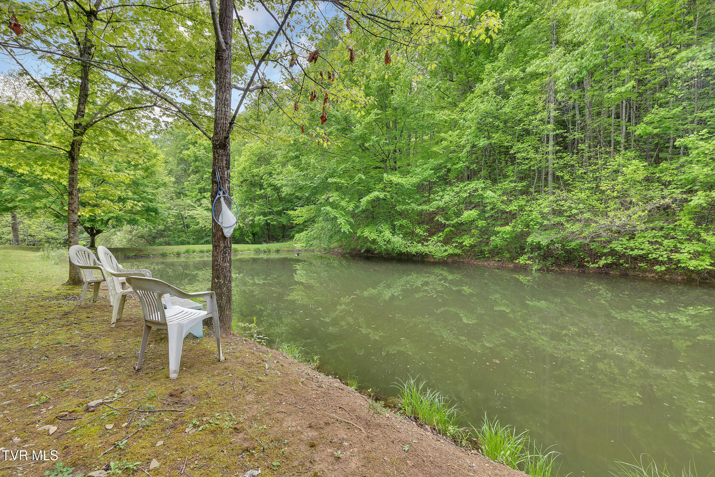 473 Lautner Road, Bulls Gap, Tennessee image 4