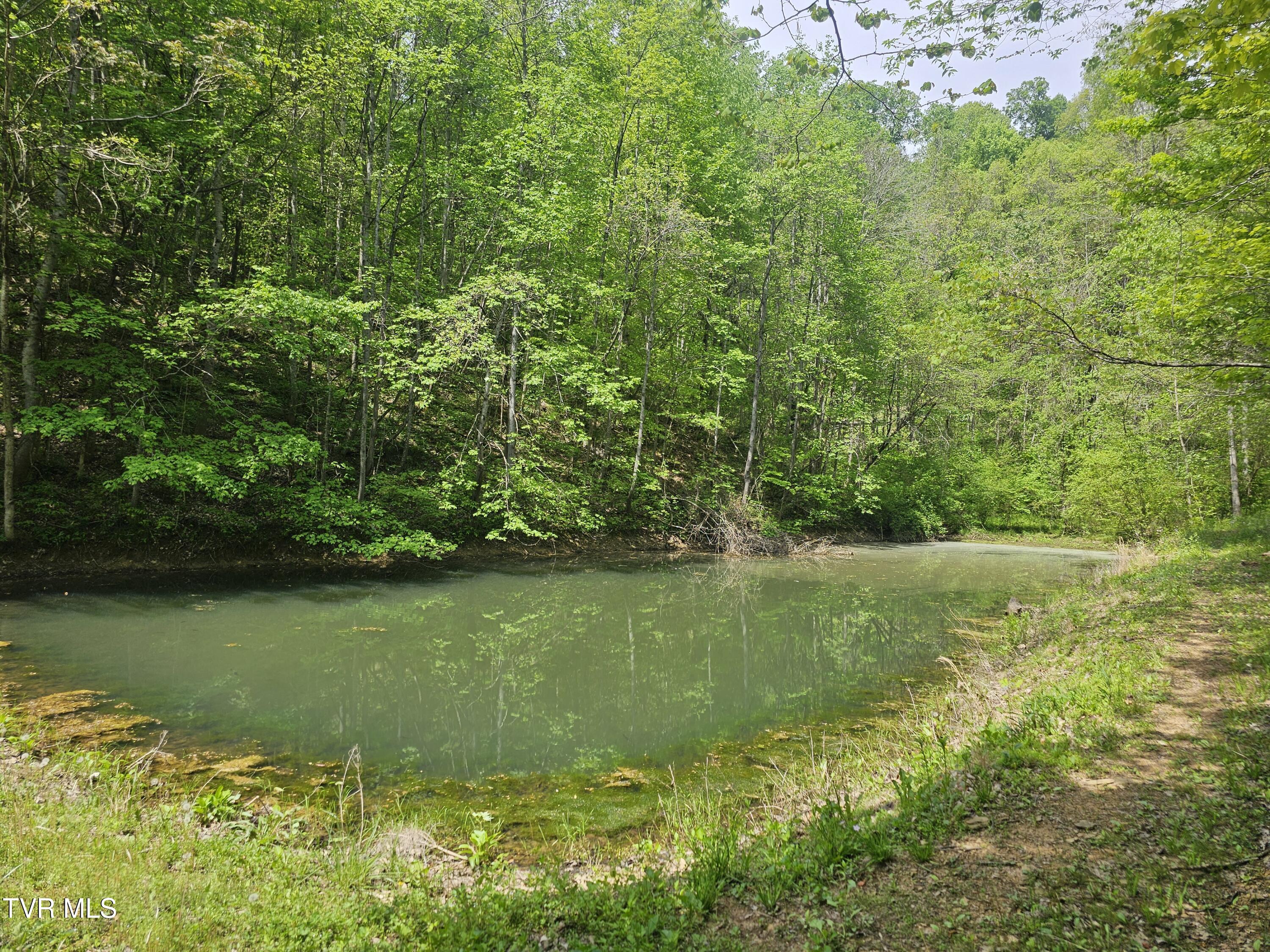 473 Lautner Road, Bulls Gap, Tennessee image 24