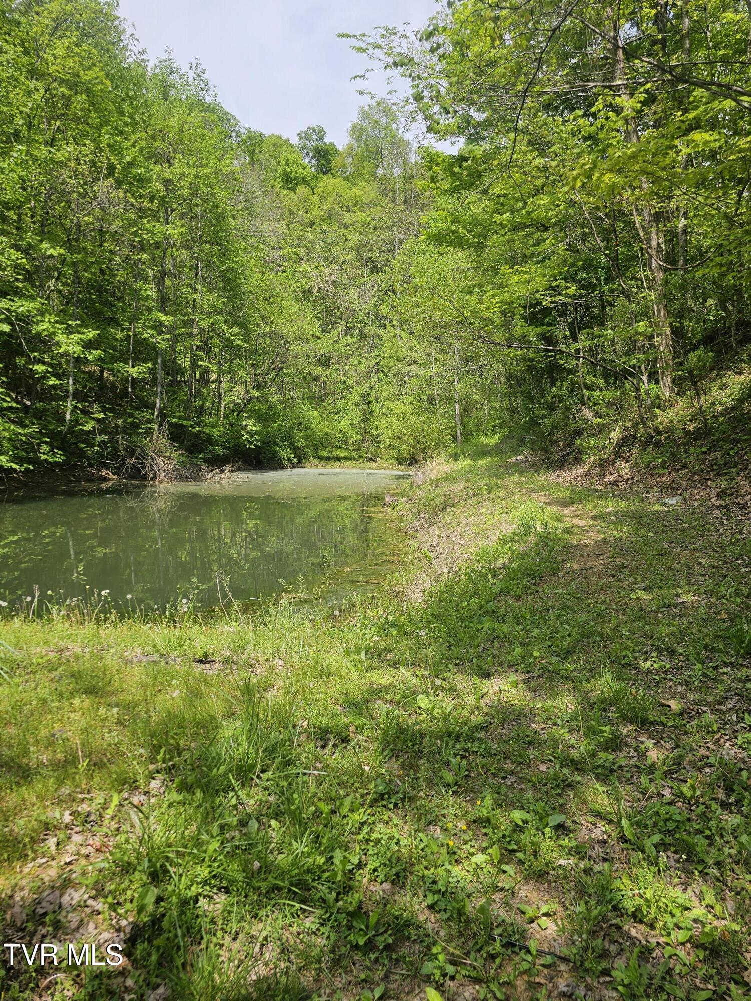 473 Lautner Road, Bulls Gap, Tennessee image 25