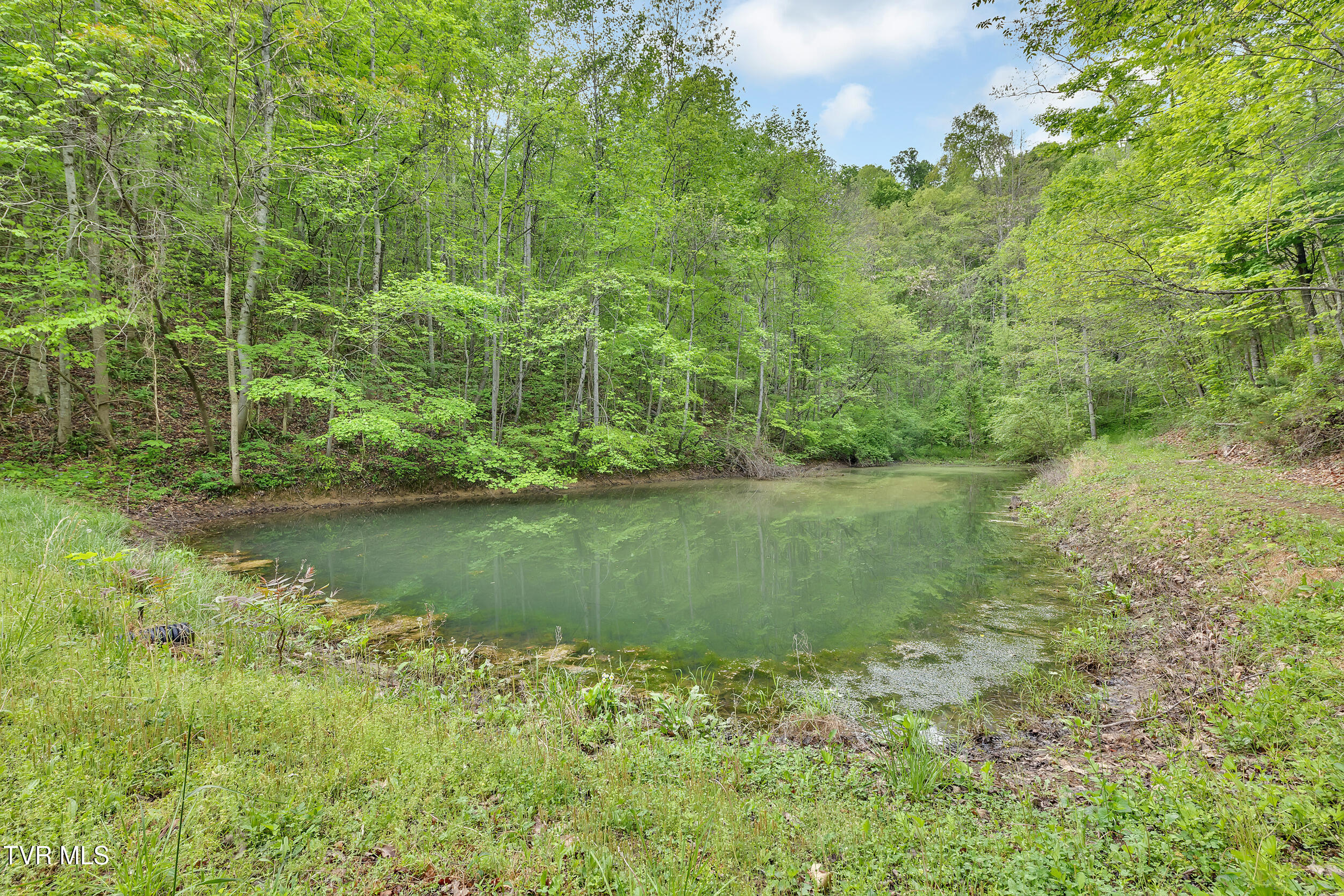 473 Lautner Road, Bulls Gap, Tennessee image 3