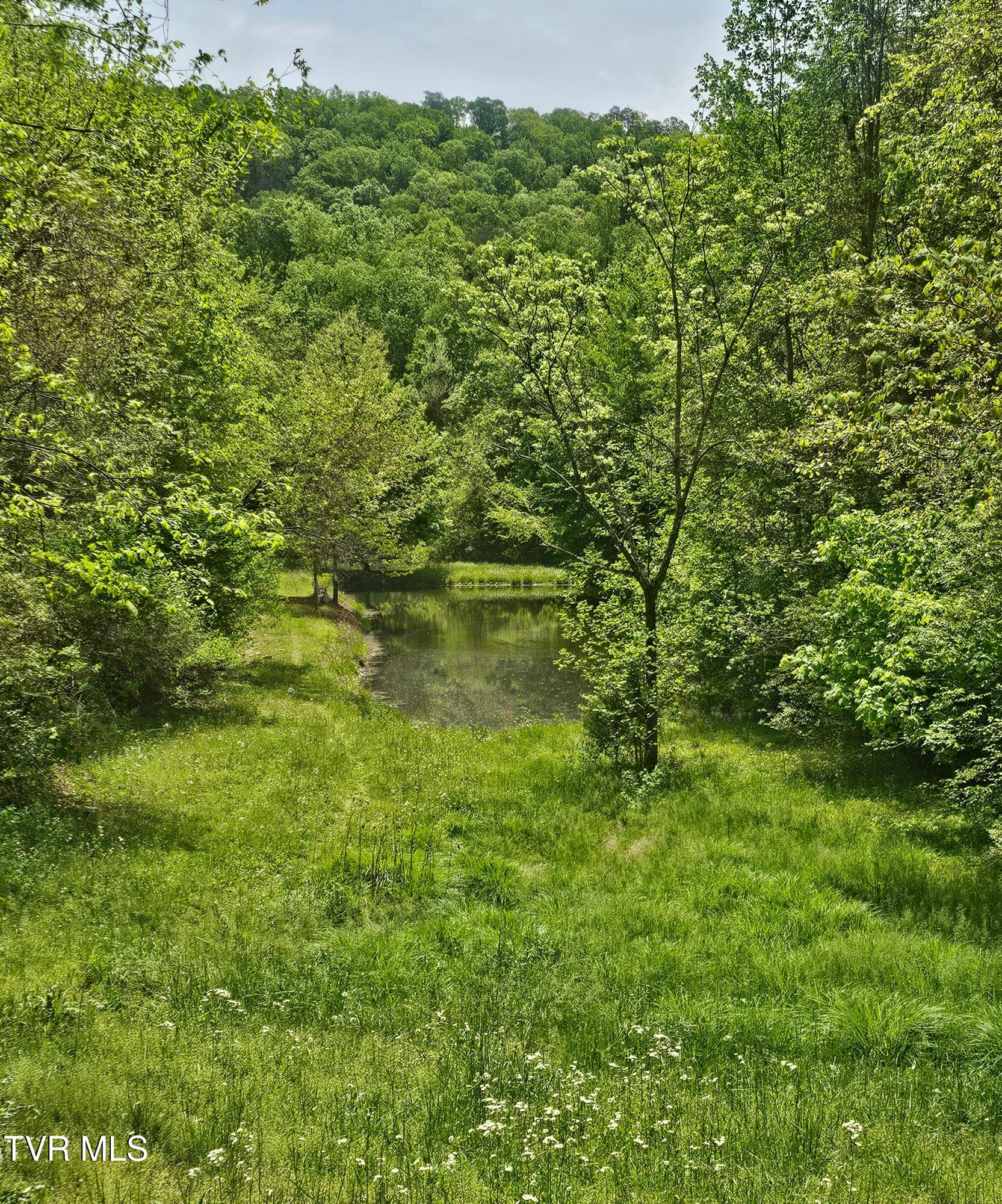 473 Lautner Road, Bulls Gap, Tennessee image 11