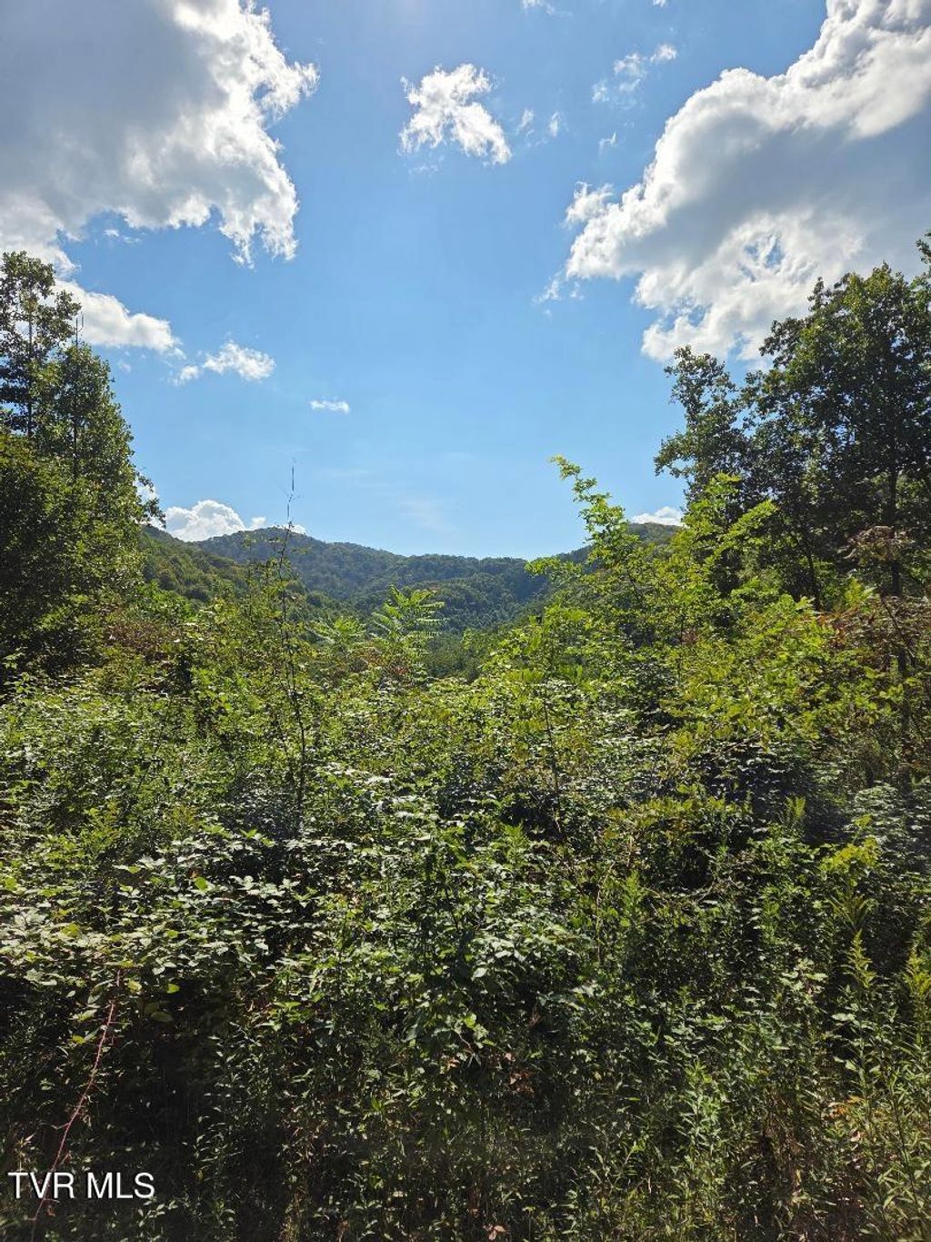 Photo of Tbd Tiger Creek Road, Roan Mountain, TN 37687 (MLS # 9985758)