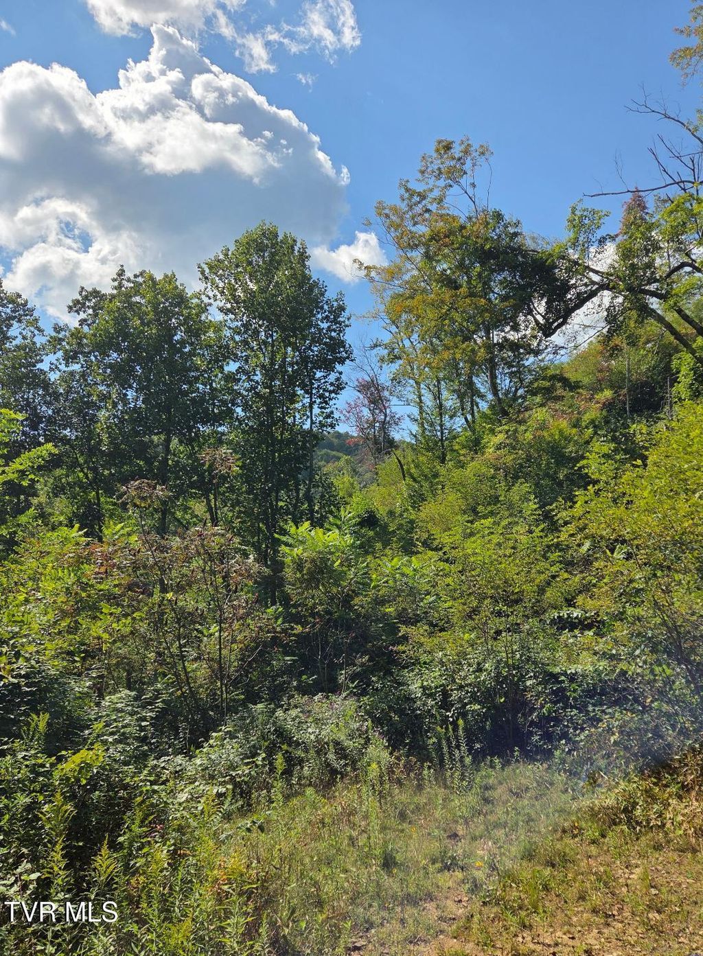 Photo of Tbd Tiger Creek Road, Roan Mountain, TN 37687 (MLS # 9985758)