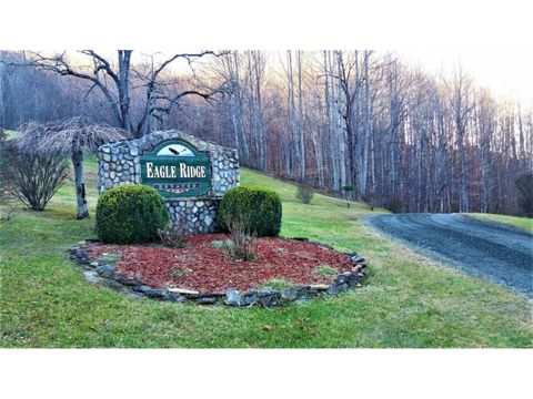 Vacant Land For Sale - 11 Roan Springs Lane<br/> Carter County, Roan Mountain, TN 37687