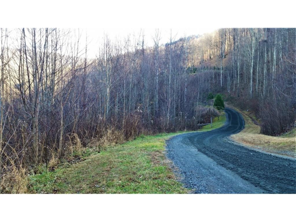 Photo of 11 Roan Springs Lane, Roan Mountain, TN 37687 (MLS # 9989876)