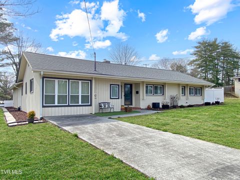 Photo of 2315 Larkspur Drive, Johnson City, TN 37604 (MLS # 9992135)