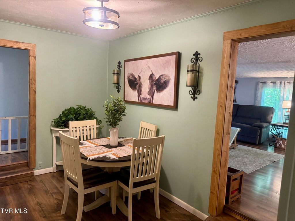 Photo of 401 Minga Store Road, Kingsport, TN 37663 (MLS # 9995328)