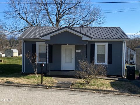 Photo of 127 Unaka Street, Greeneville, TN 37743 (MLS # 9991576)