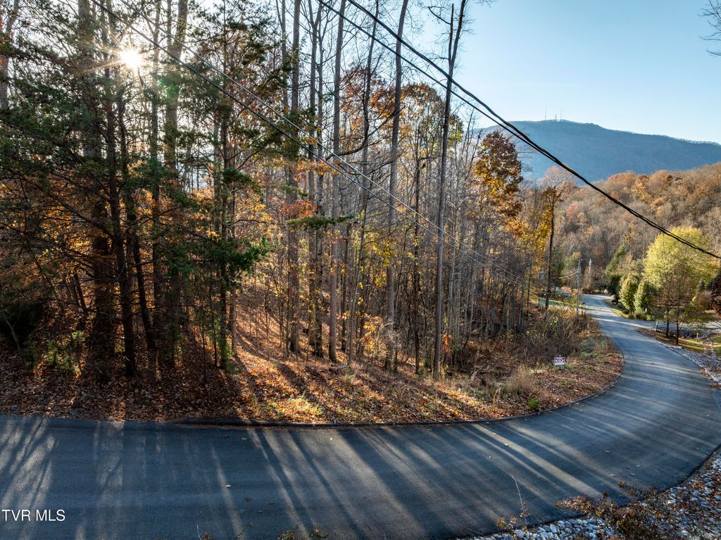 Photo of 35 Lonestar Drive, Johnson City, TN 37601 (MLS # 9988300)