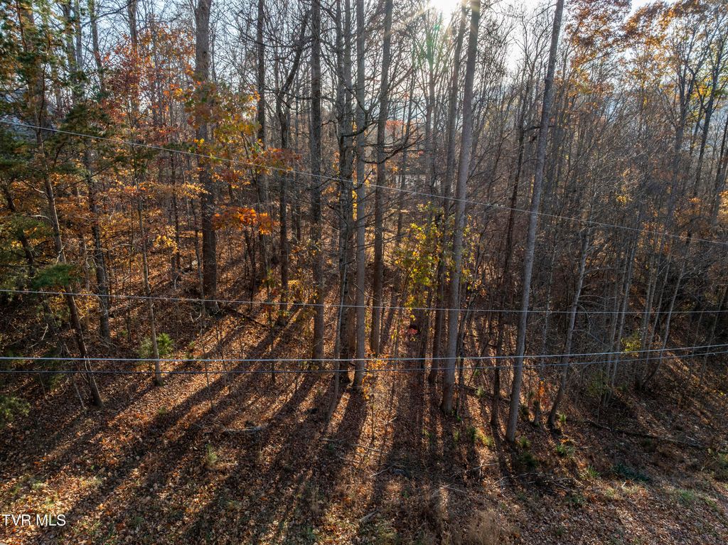 Photo of 35 Lonestar Drive, Johnson City, TN 37601 (MLS # 9988300)