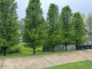 65 Mill Drive, Greeneville, Tennessee image 6