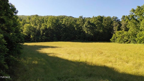 Vacant Land For Sale - 21/AC Tbd Houston Valley Tract 3b Road<br/> Greeneville, TN 37743