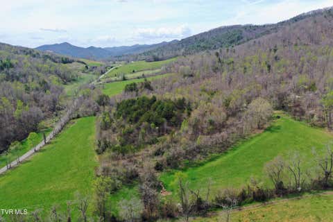 Vacant Land For Sale - 21/AC Tbd Houston Valley Tract 3b Road<br/> Greeneville, TN 37743