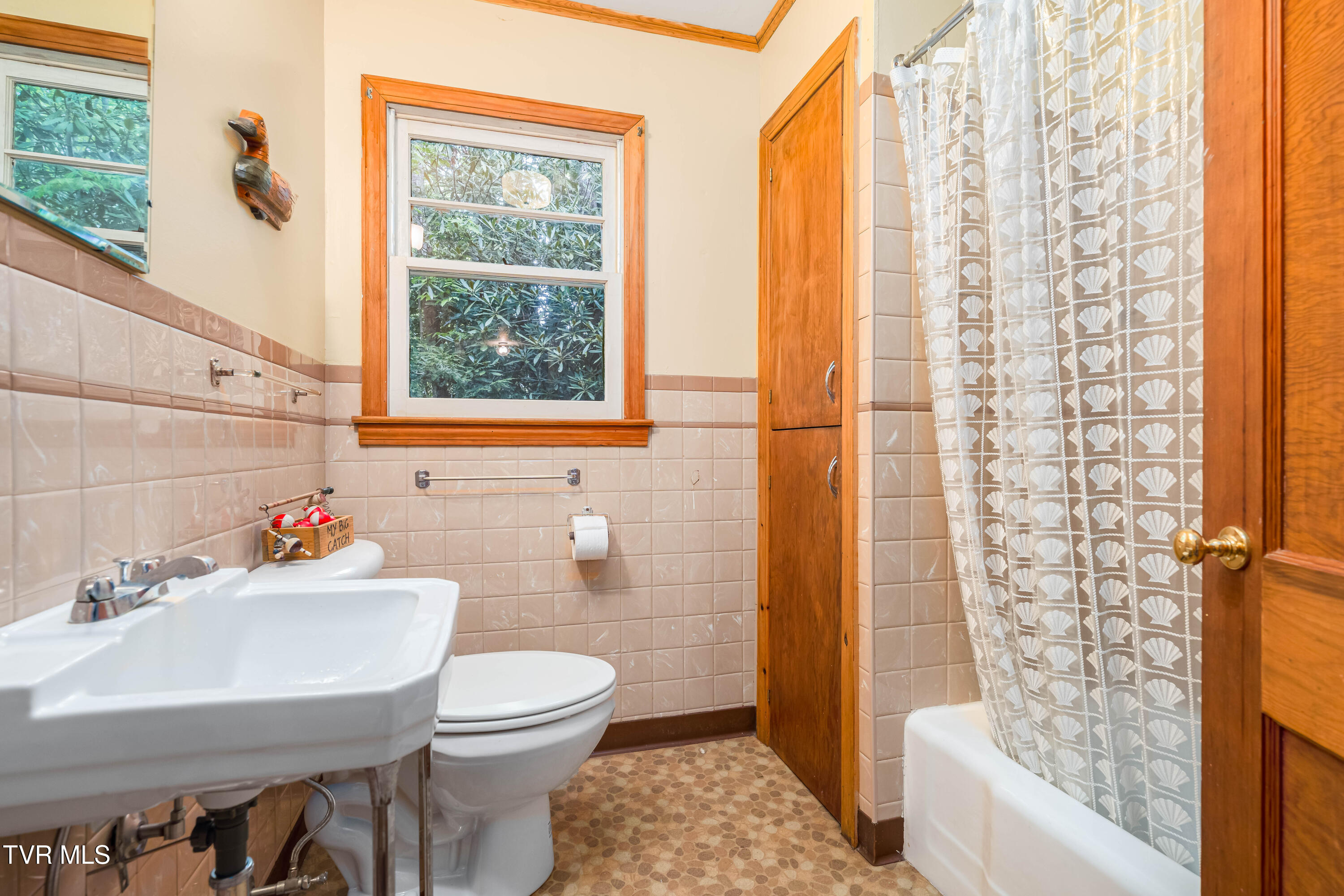 150 Ripshin Lake Road, Roan Mountain, Tennessee image 20