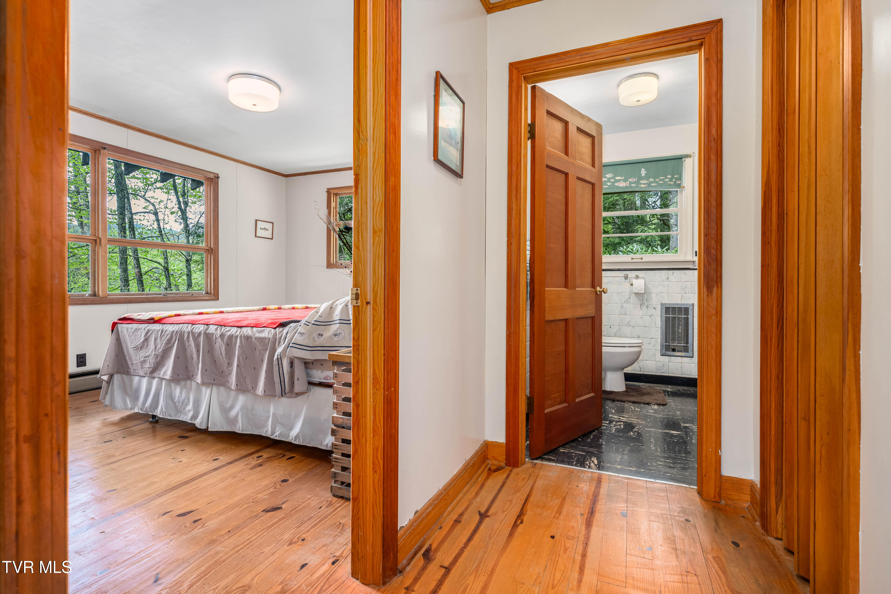 150 Ripshin Lake Road, Roan Mountain, Tennessee image 15