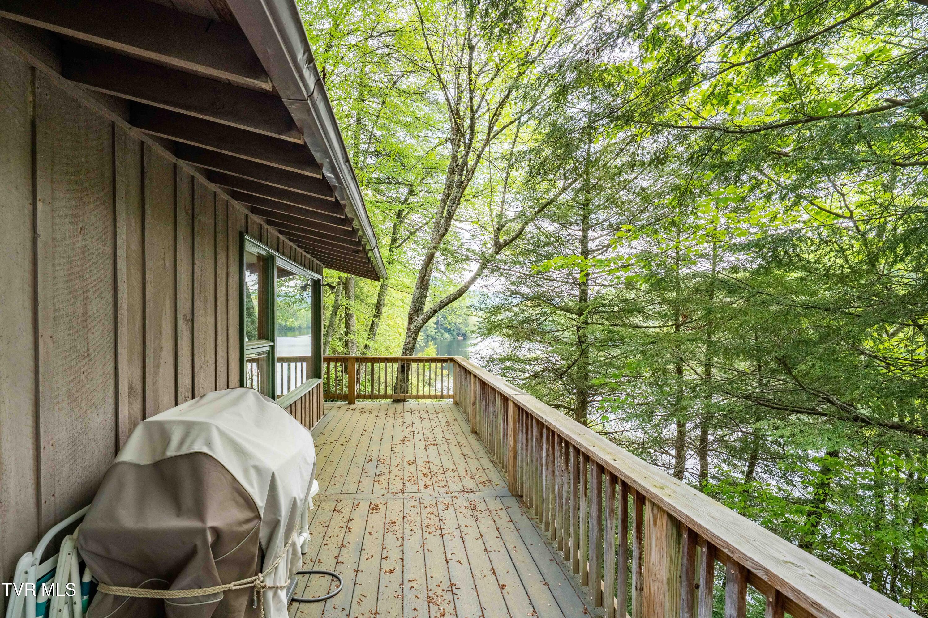 150 Ripshin Lake Road, Roan Mountain, Tennessee image 21