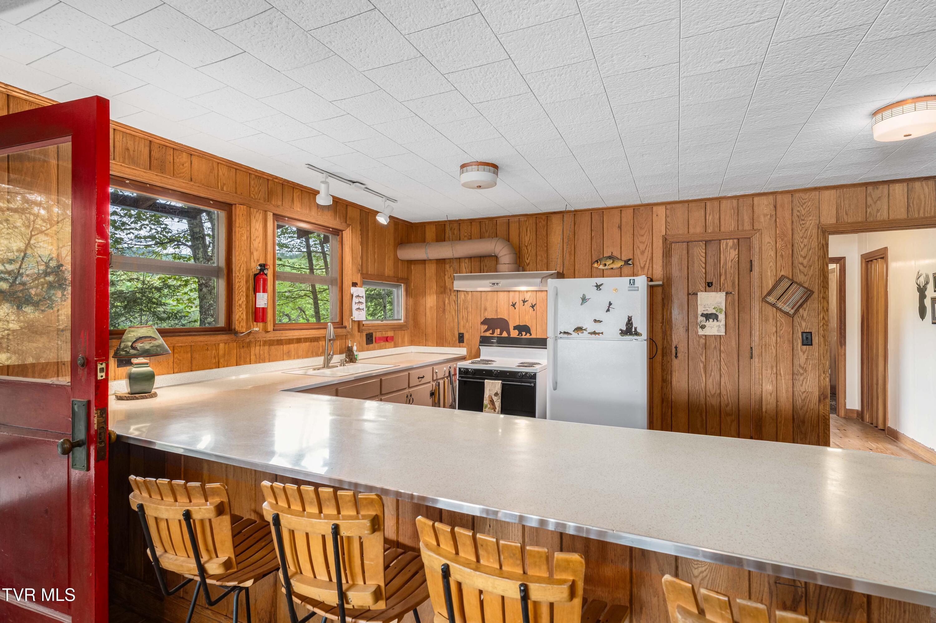 150 Ripshin Lake Road, Roan Mountain, Tennessee image 11
