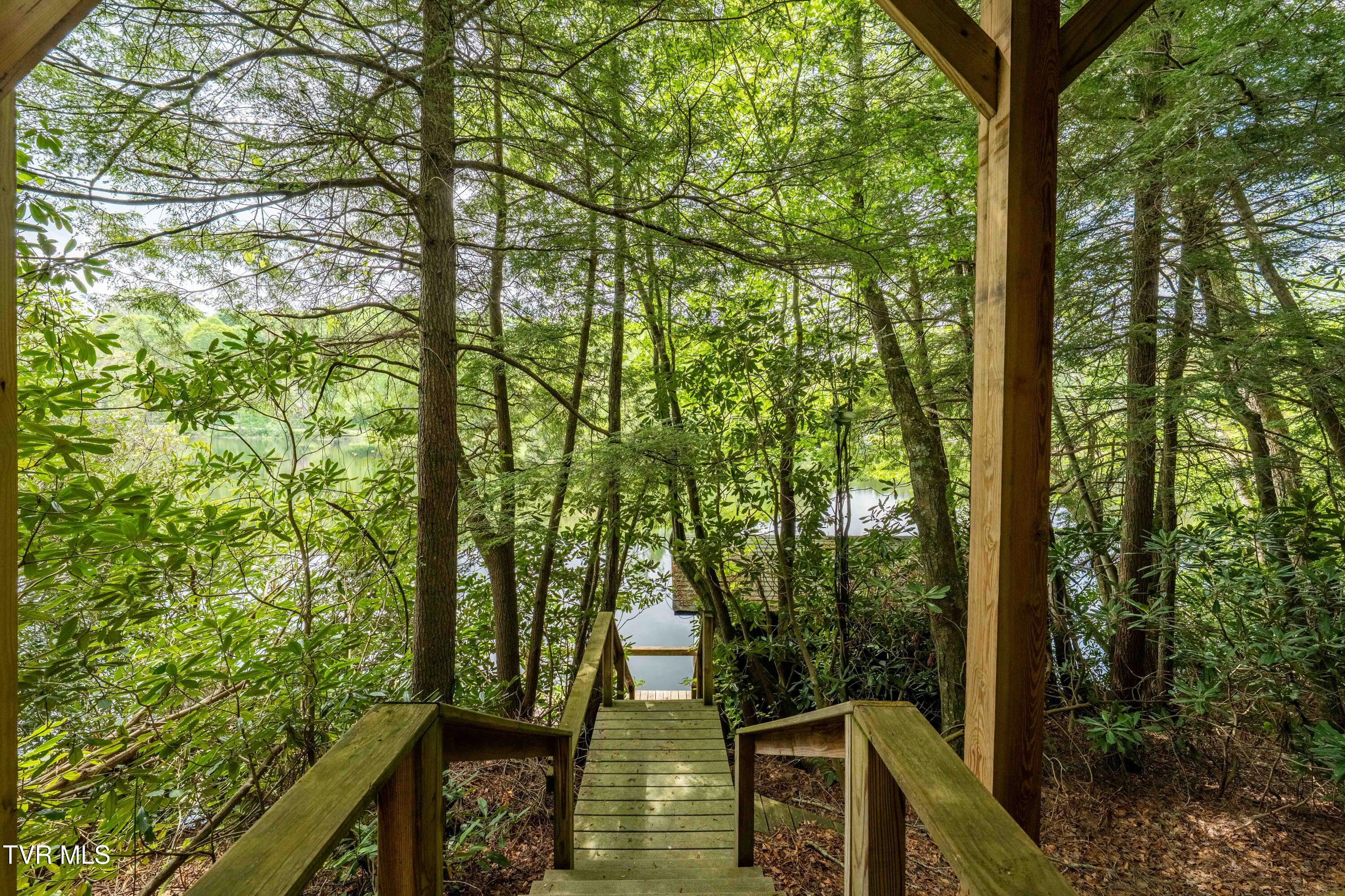 150 Ripshin Lake Road, Roan Mountain, Tennessee image 34