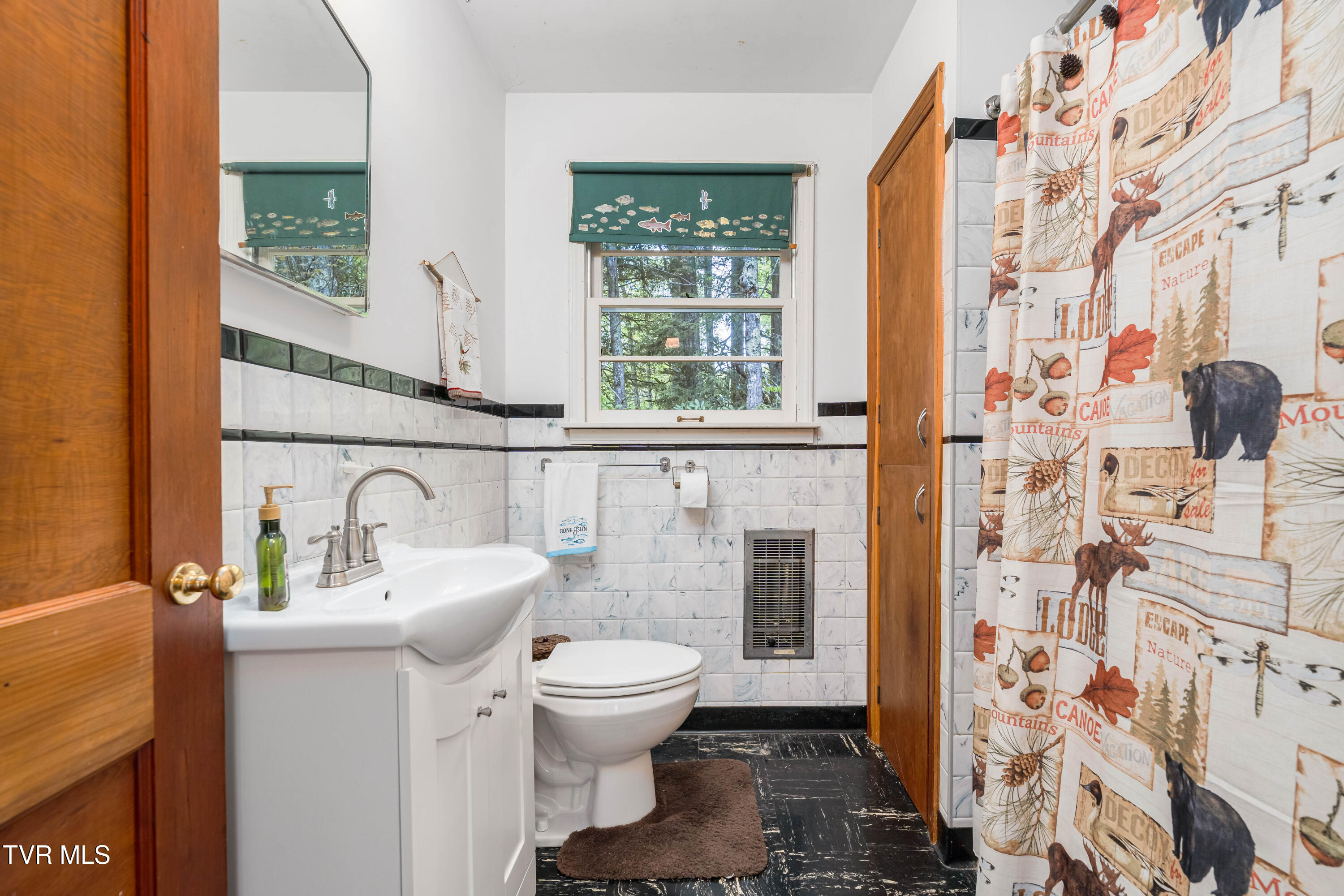 150 Ripshin Lake Road, Roan Mountain, Tennessee image 18