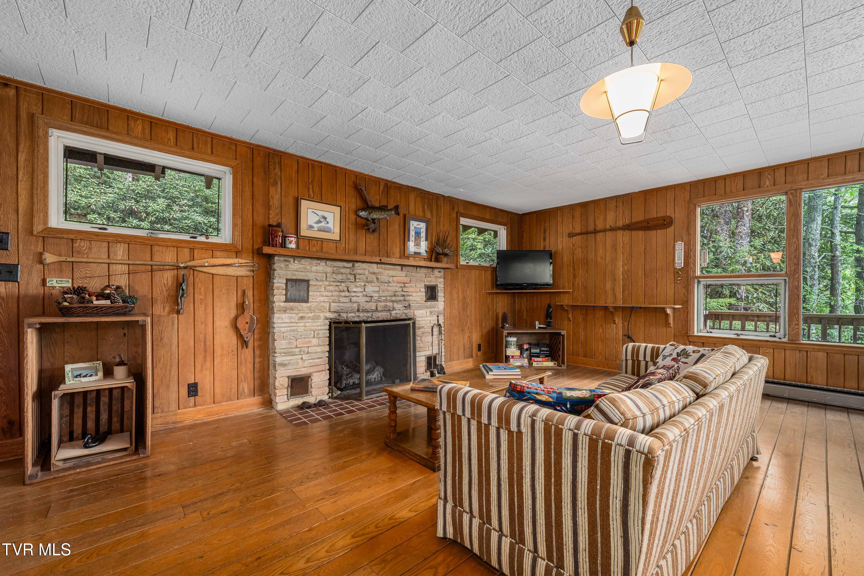150 Ripshin Lake Road, Roan Mountain, Tennessee image 5