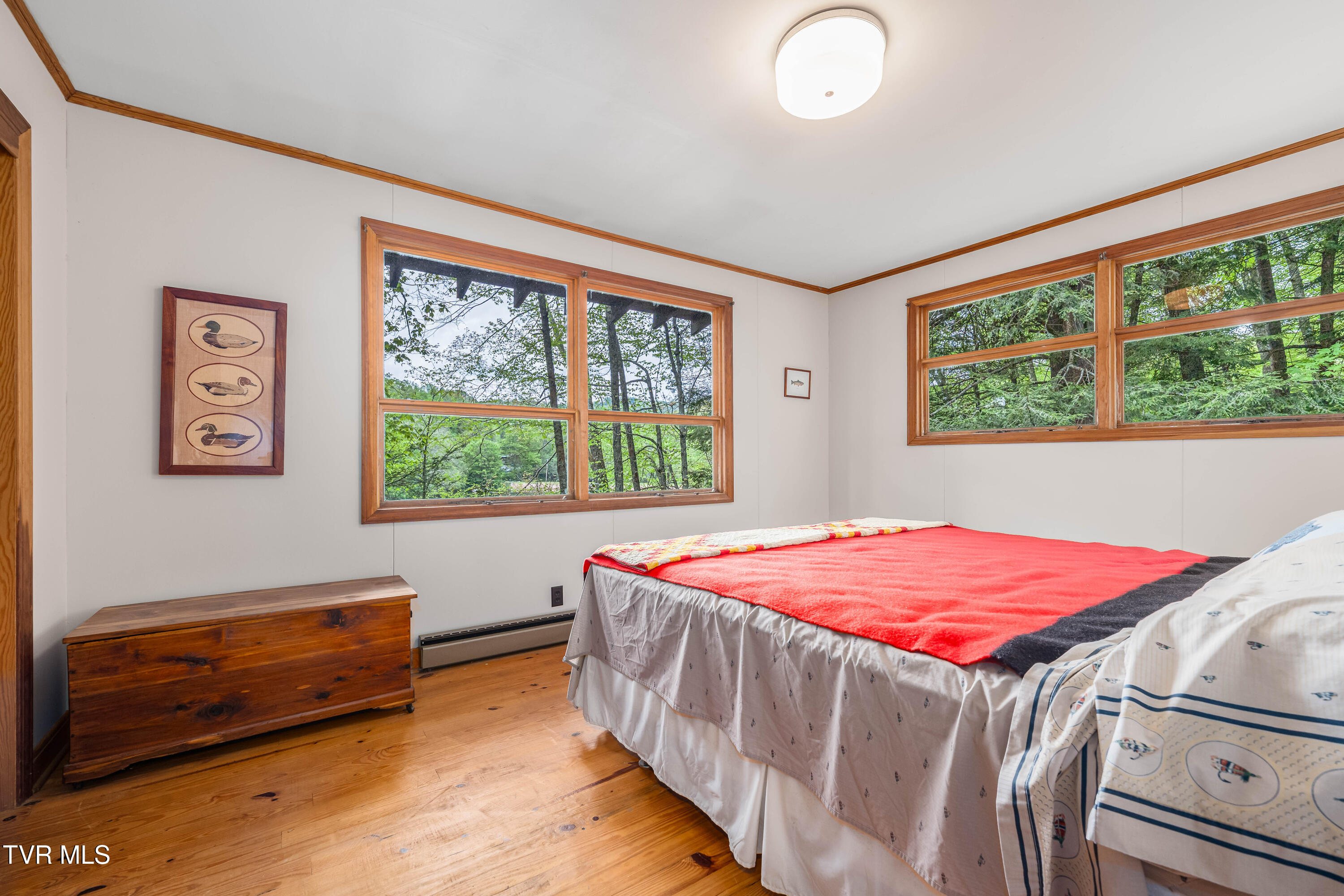 150 Ripshin Lake Road, Roan Mountain, Tennessee image 16