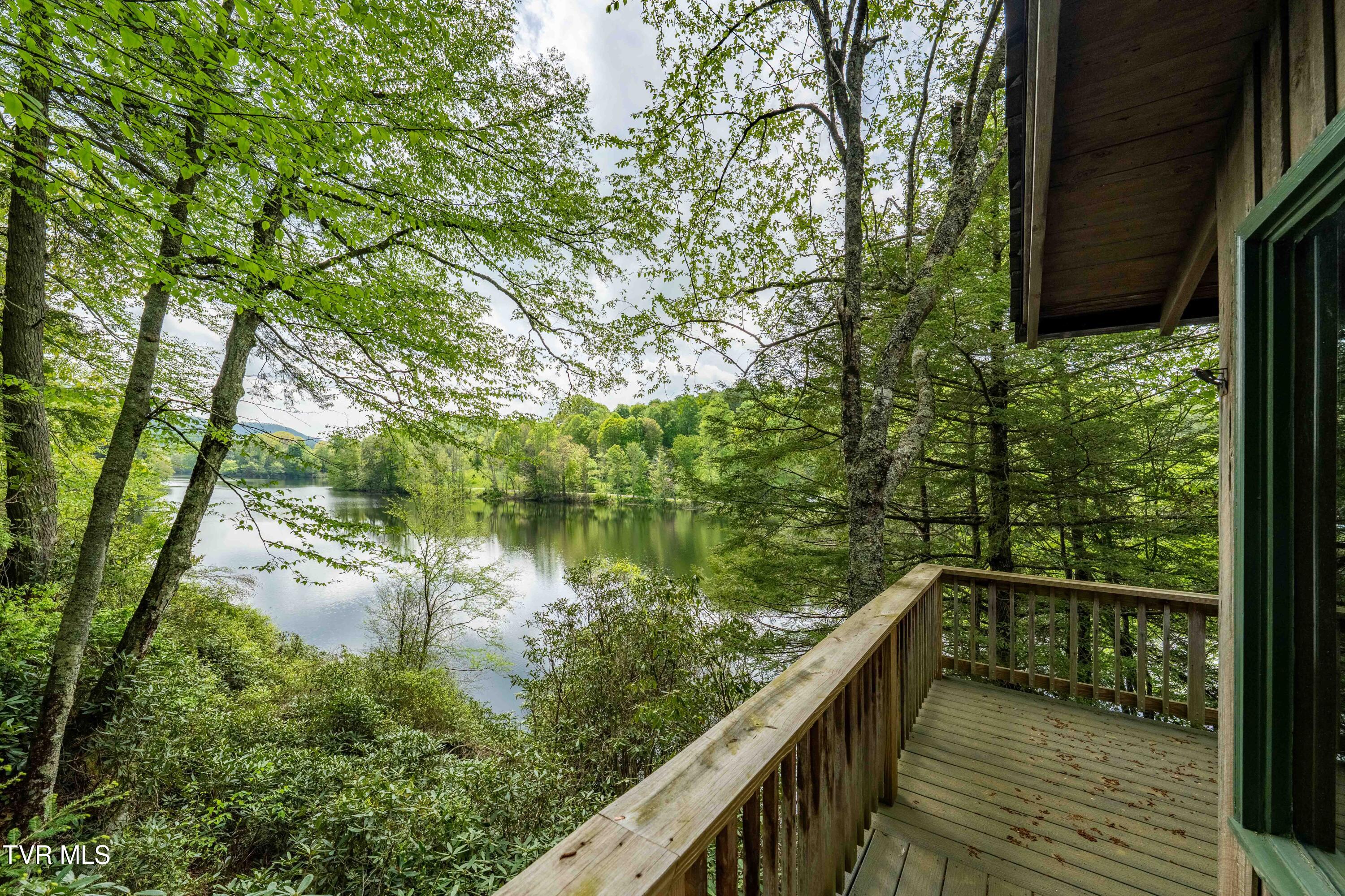 150 Ripshin Lake Road, Roan Mountain, Tennessee image 35