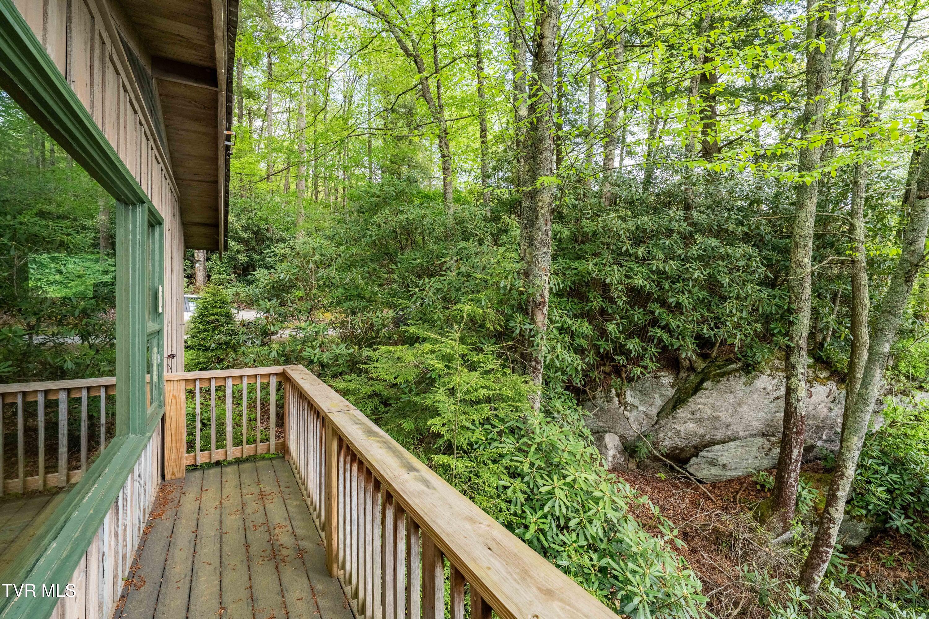 150 Ripshin Lake Road, Roan Mountain, Tennessee image 24
