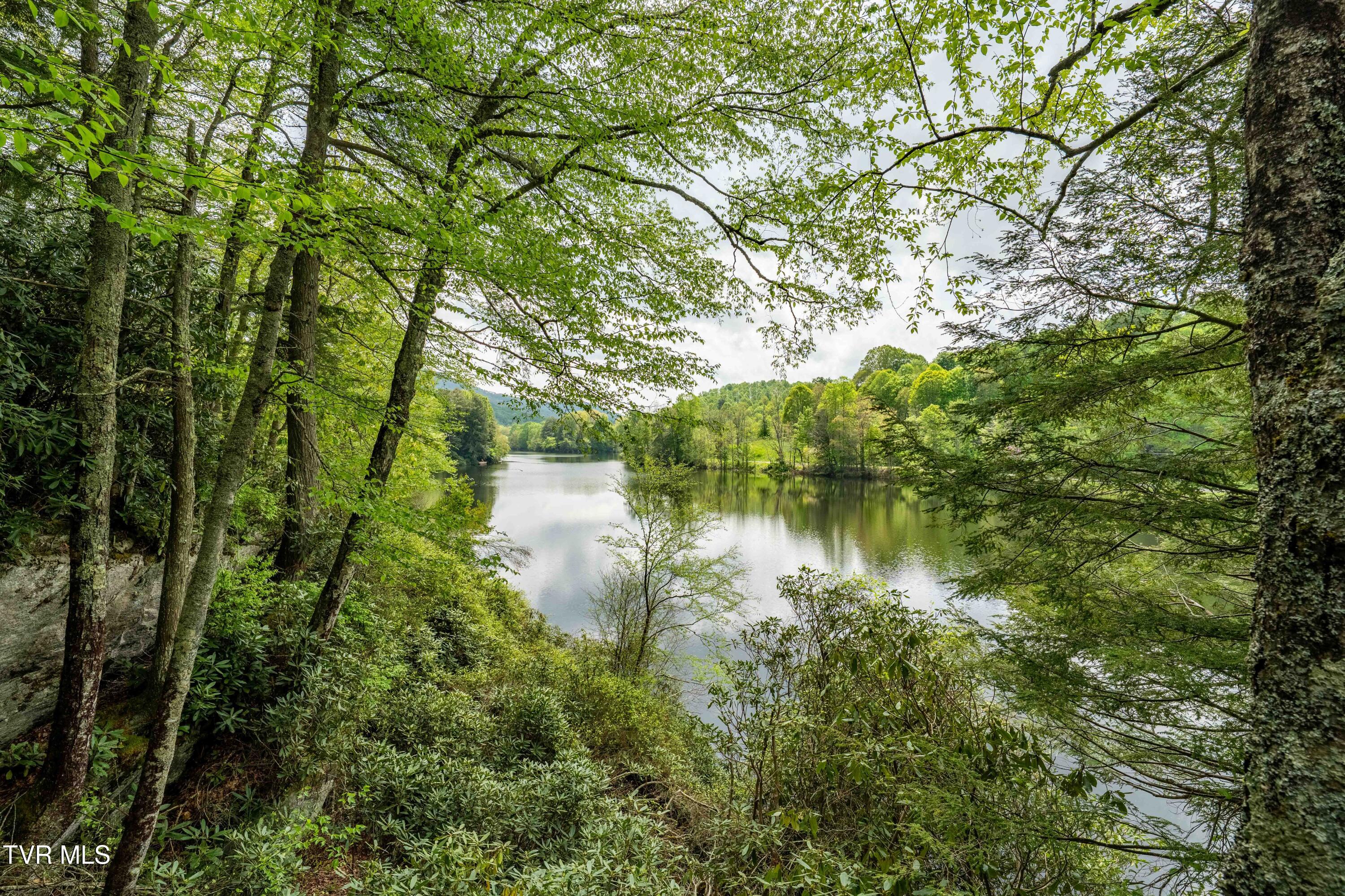 150 Ripshin Lake Road, Roan Mountain, Tennessee image 36