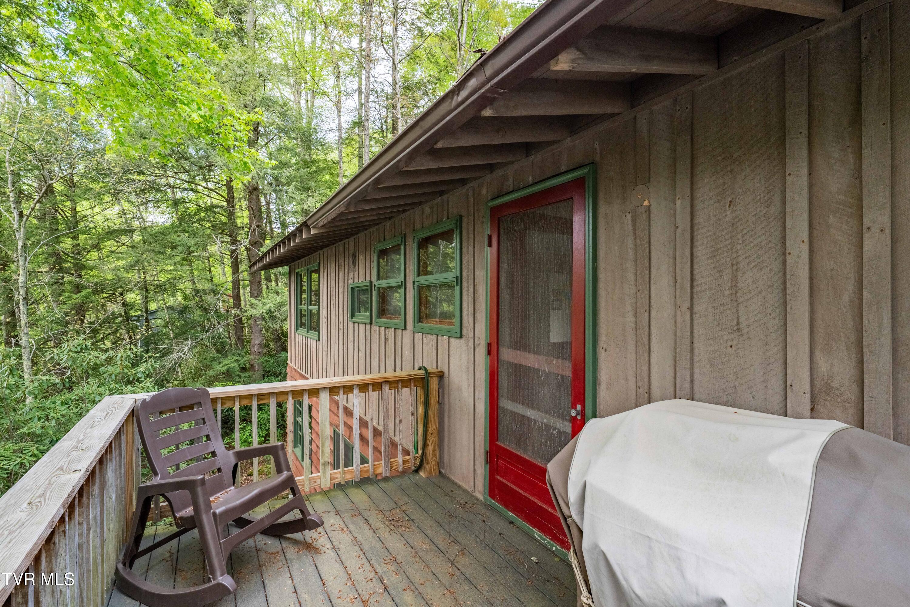 150 Ripshin Lake Road, Roan Mountain, Tennessee image 22