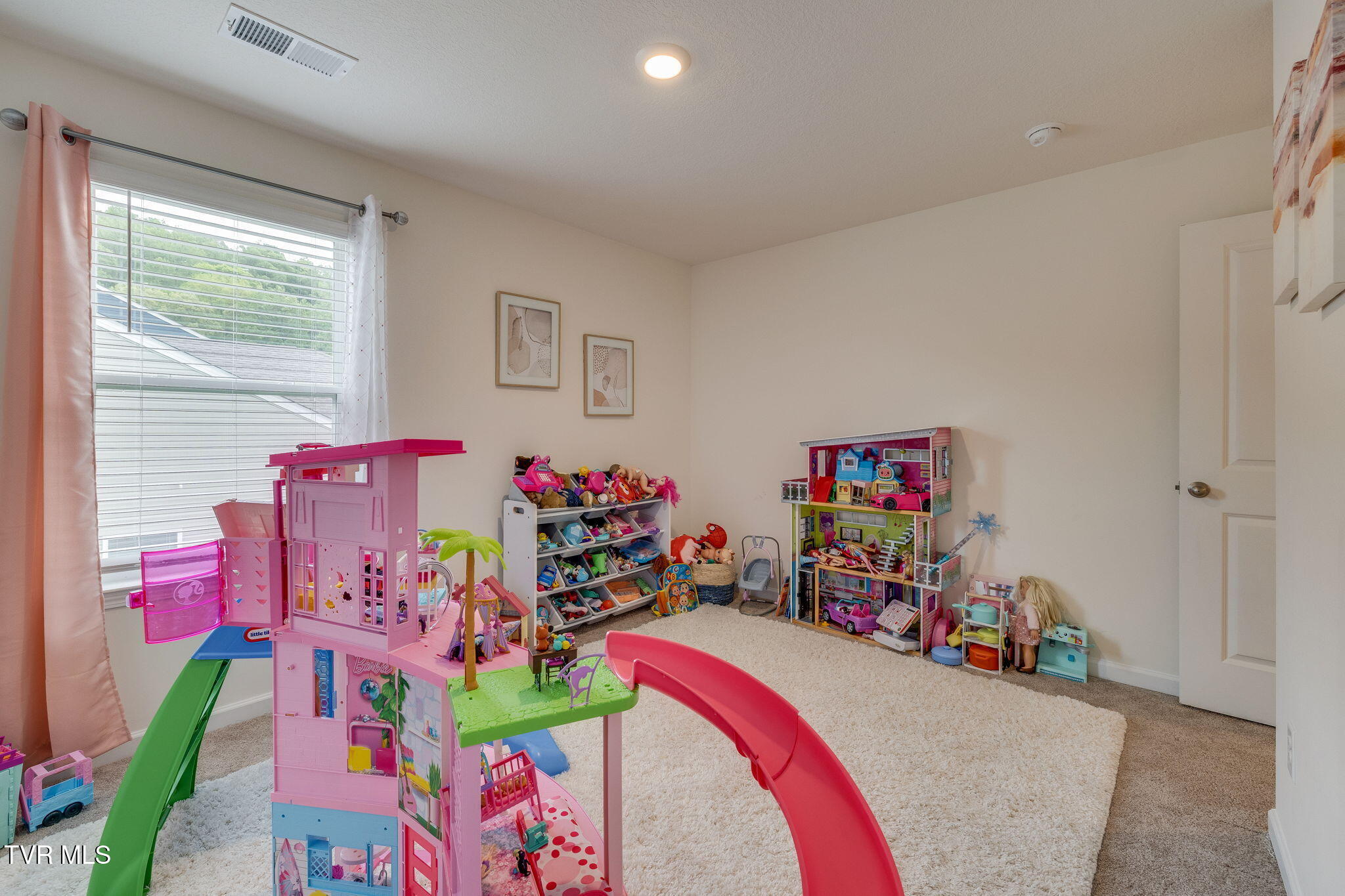 625 Butler Lane, Blountville, Tennessee image 35