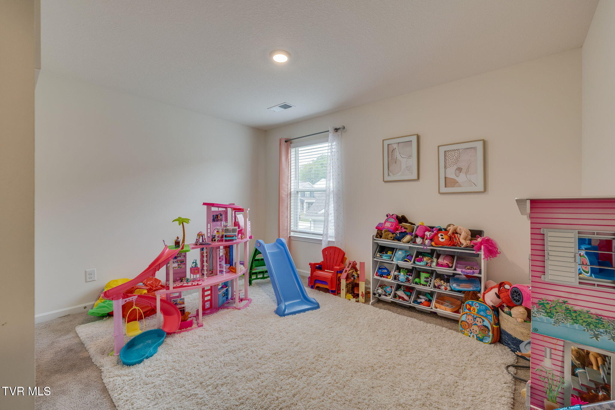 625 Butler Lane, Blountville, Tennessee image 33