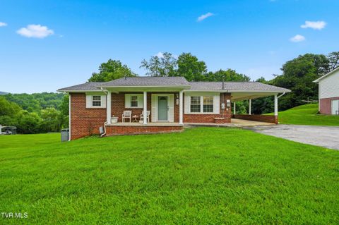 Homes For Sale - 135 Unaka Subdivision Road<br/> Carter County, Elizabethton, TN 37643