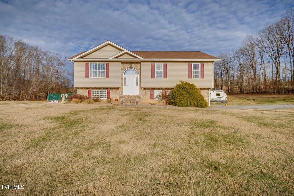 Photo of 319 Allenwood Drive, Surgoinsville, TN 37873 (MLS # 9989573)