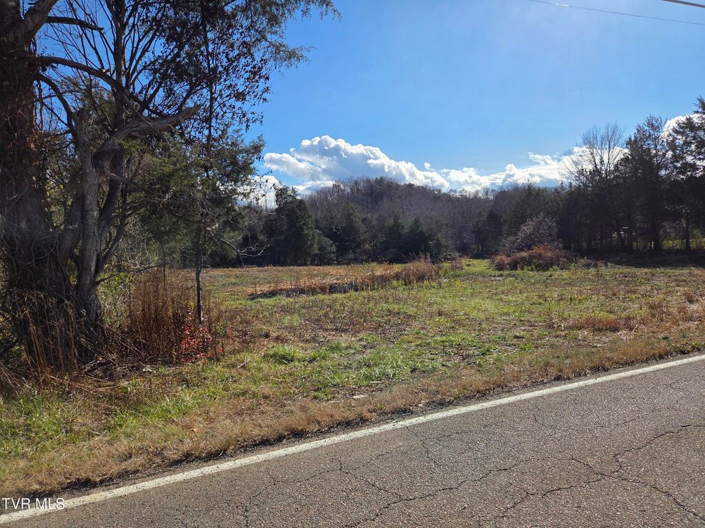 Photo of 355 Austin Springs Road, Piney Flats, TN 37686 (MLS # 9988645)
