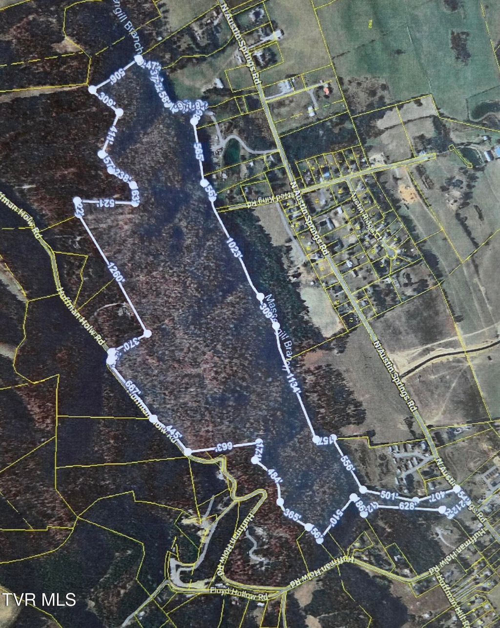 Photo of 355 Austin Springs Road, Piney Flats, TN 37686 (MLS # 9988645)