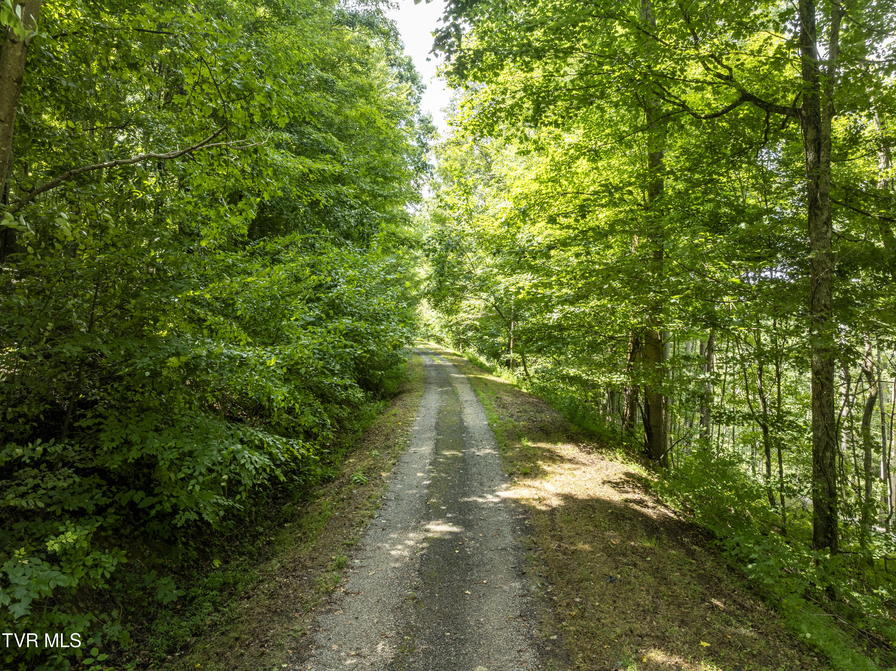 Lot 13 N. Of Draft Road, Butler, Tennessee image 3