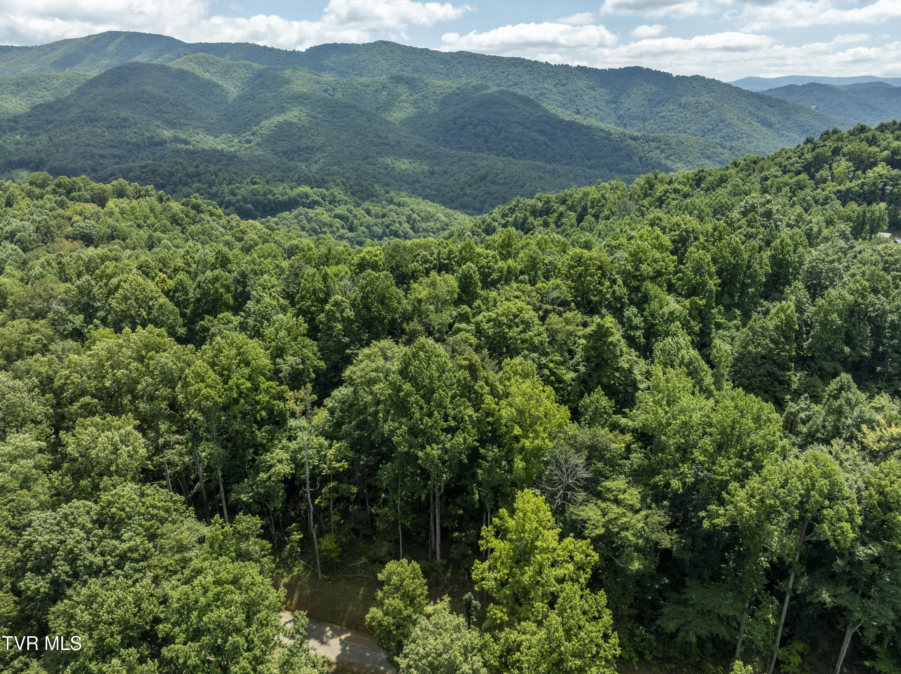 Lot 13 N. Of Draft Road, Butler, Tennessee image 29