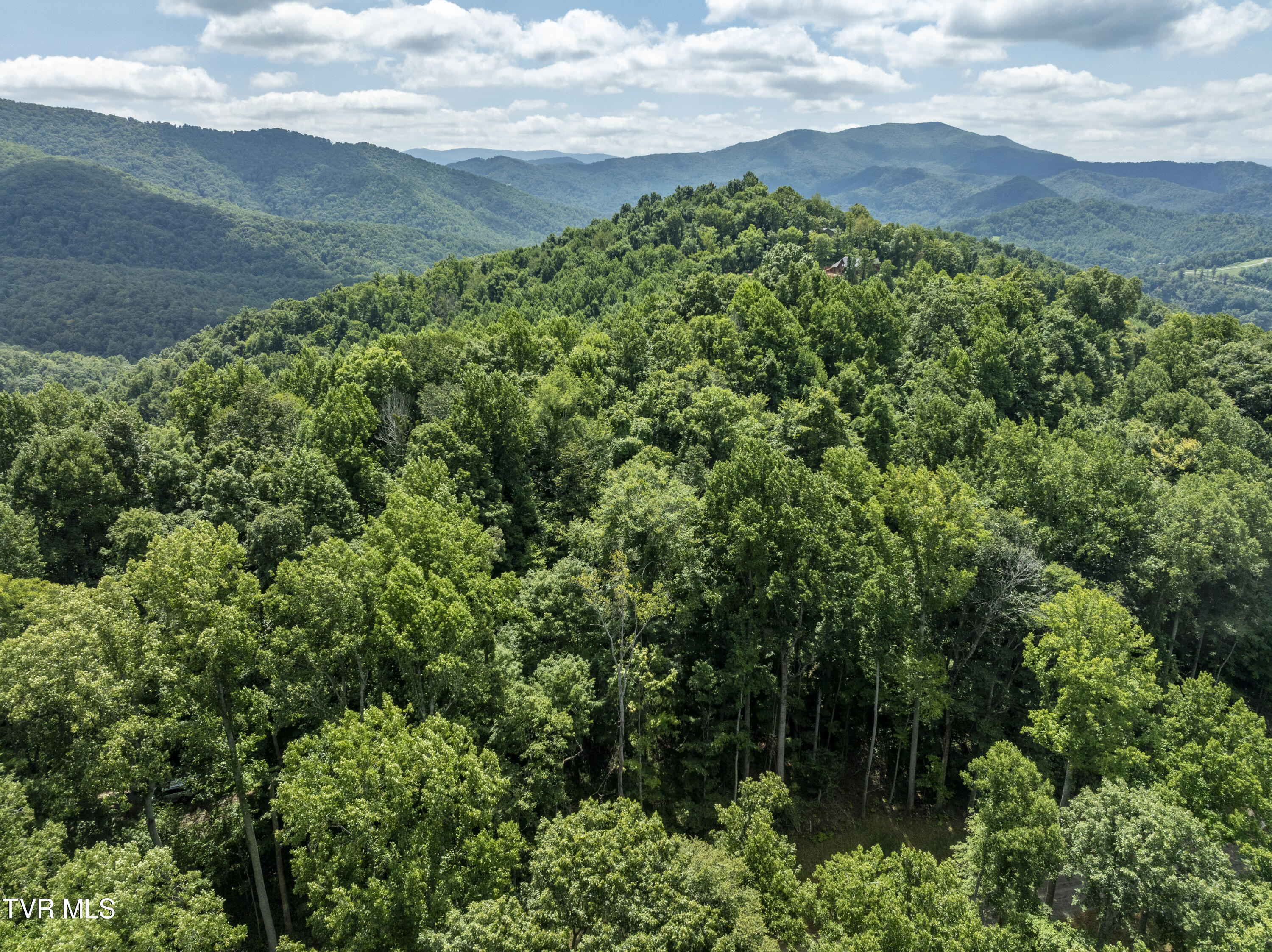 Lot 13 N. Of Draft Road, Butler, Tennessee image 28