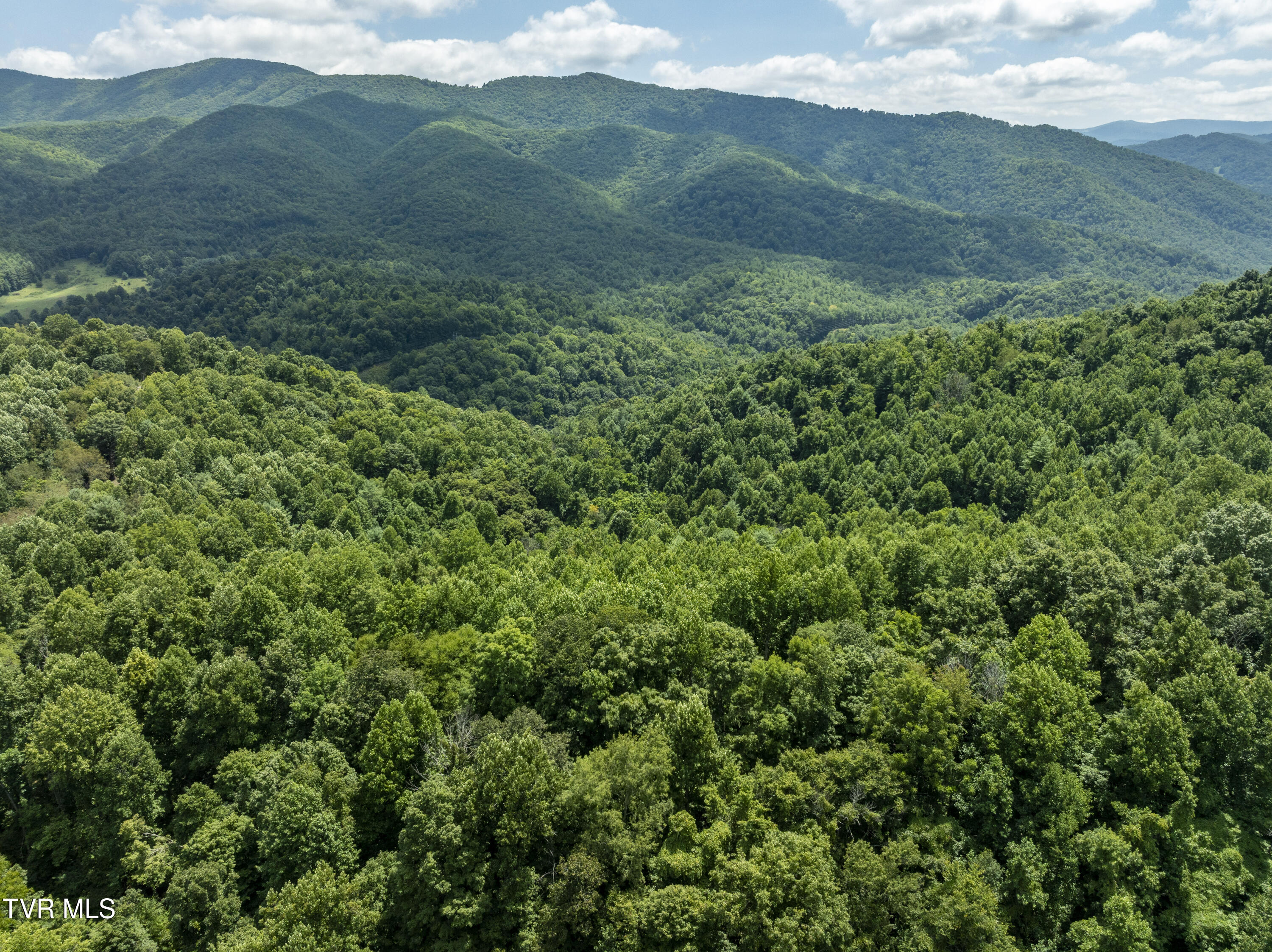 Lot 13 N. Of Draft Road, Butler, Tennessee image 30