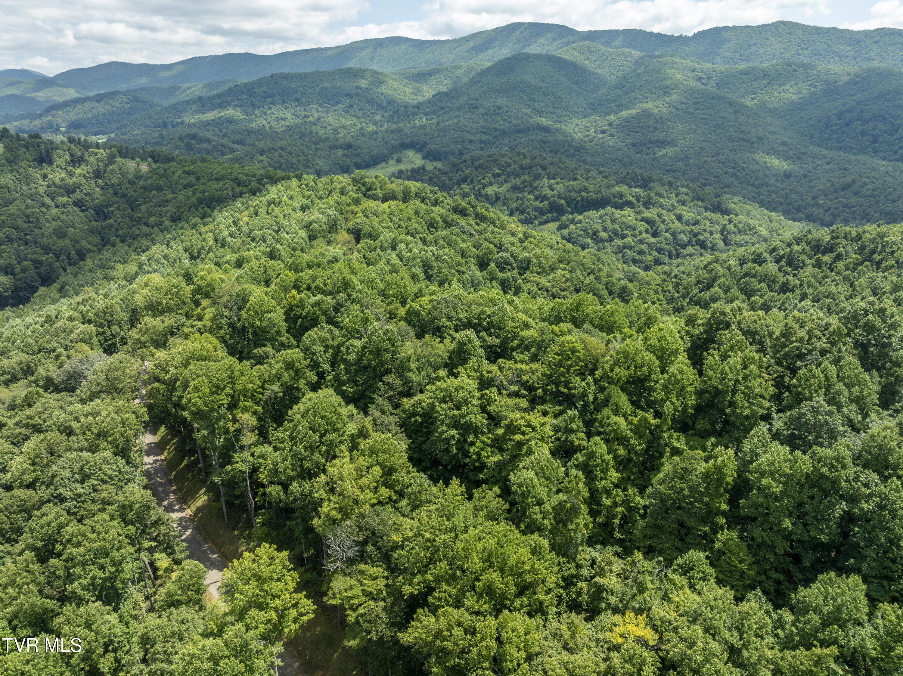 Lot 13 N. Of Draft Road, Butler, Tennessee image 16