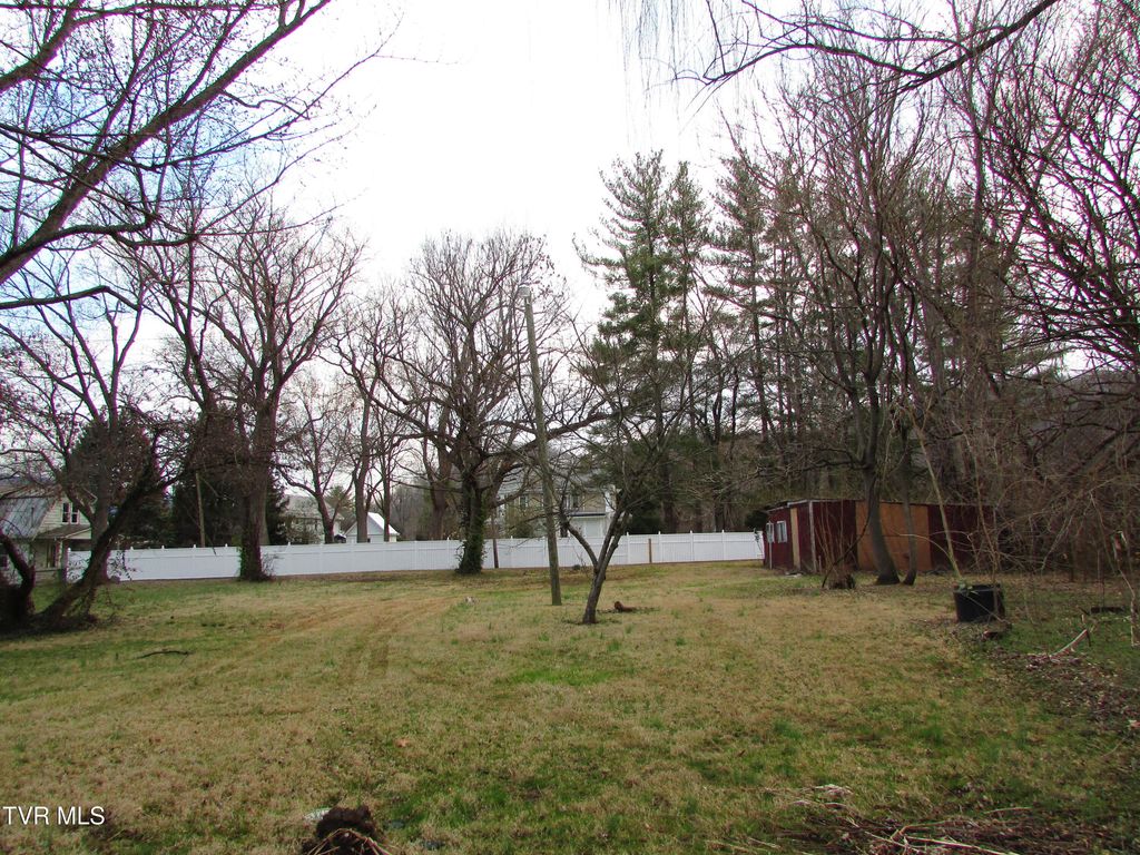 Photo of 216 Sycamore Street, Elizabethton, TN 37643 (MLS # 9991868)