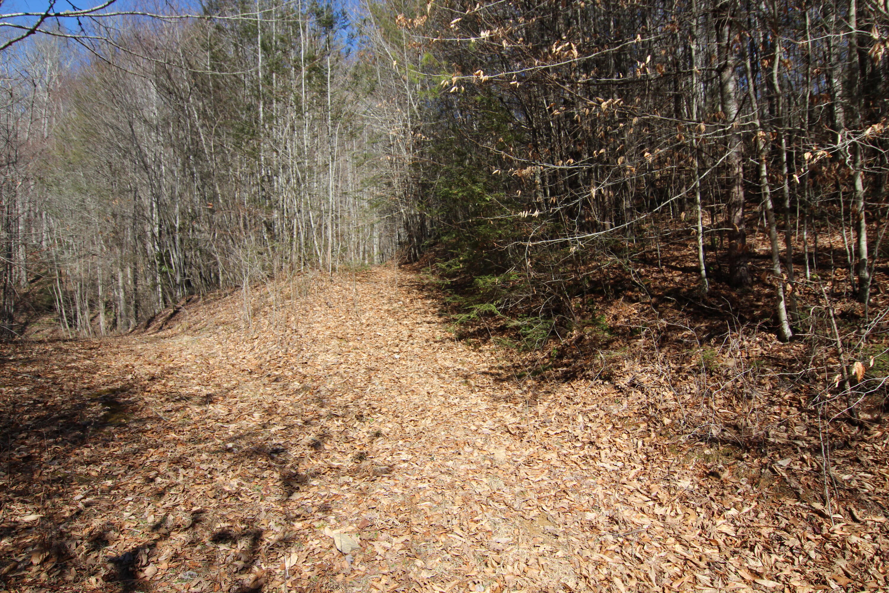 000 Heaton Branch Road, Butler, Tennessee image 18