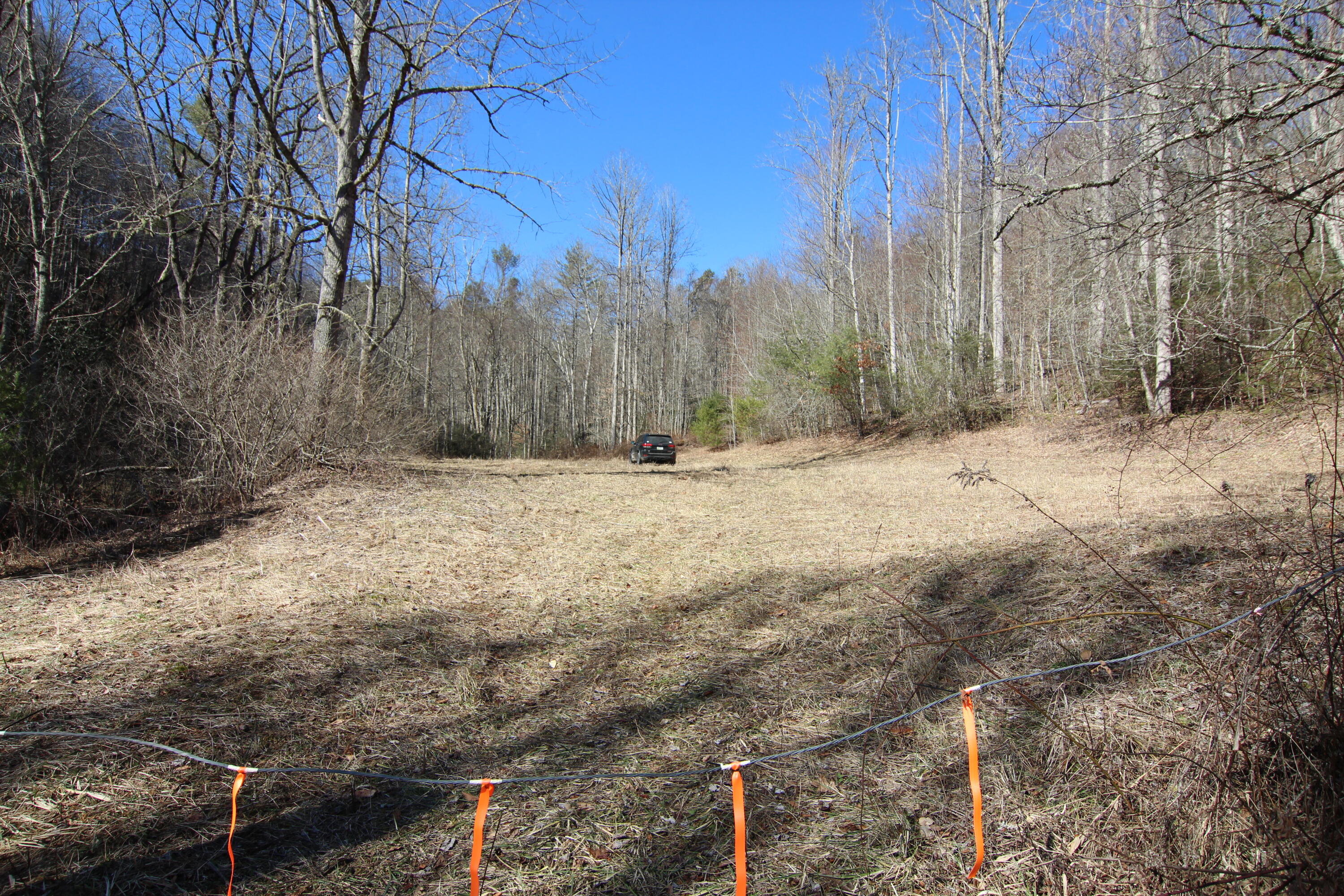 000 Heaton Branch Road, Butler, Tennessee image 13