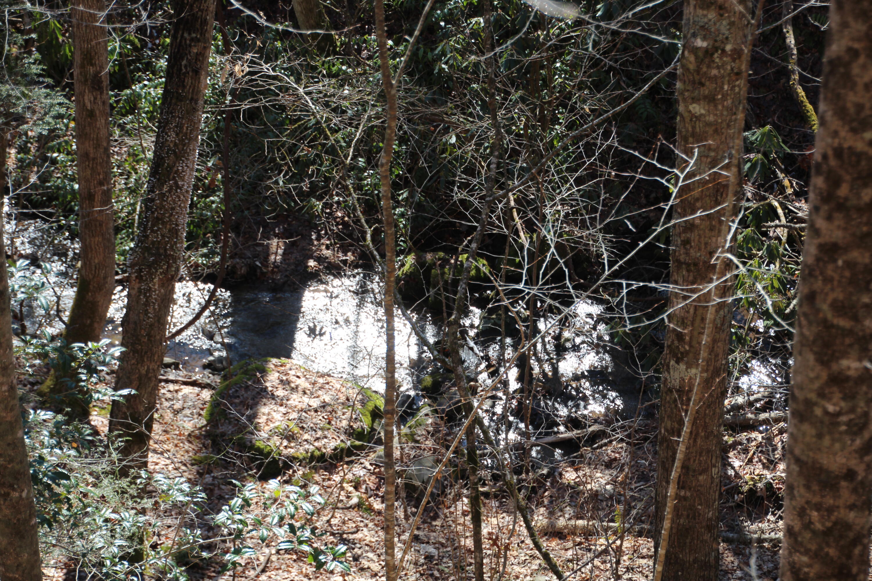 000 Heaton Branch Road, Butler, Tennessee image 21