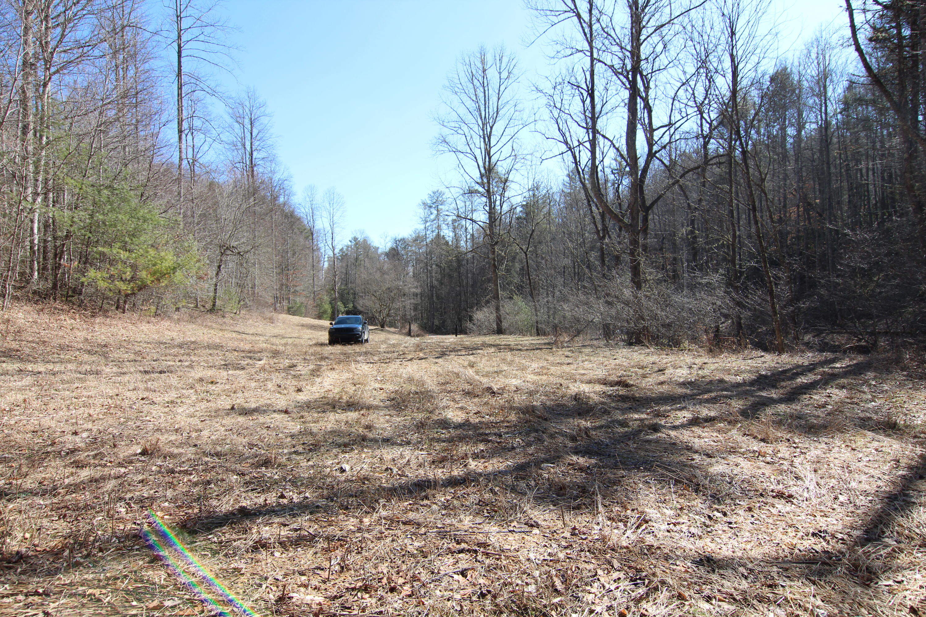 000 Heaton Branch Road, Butler, Tennessee image 16
