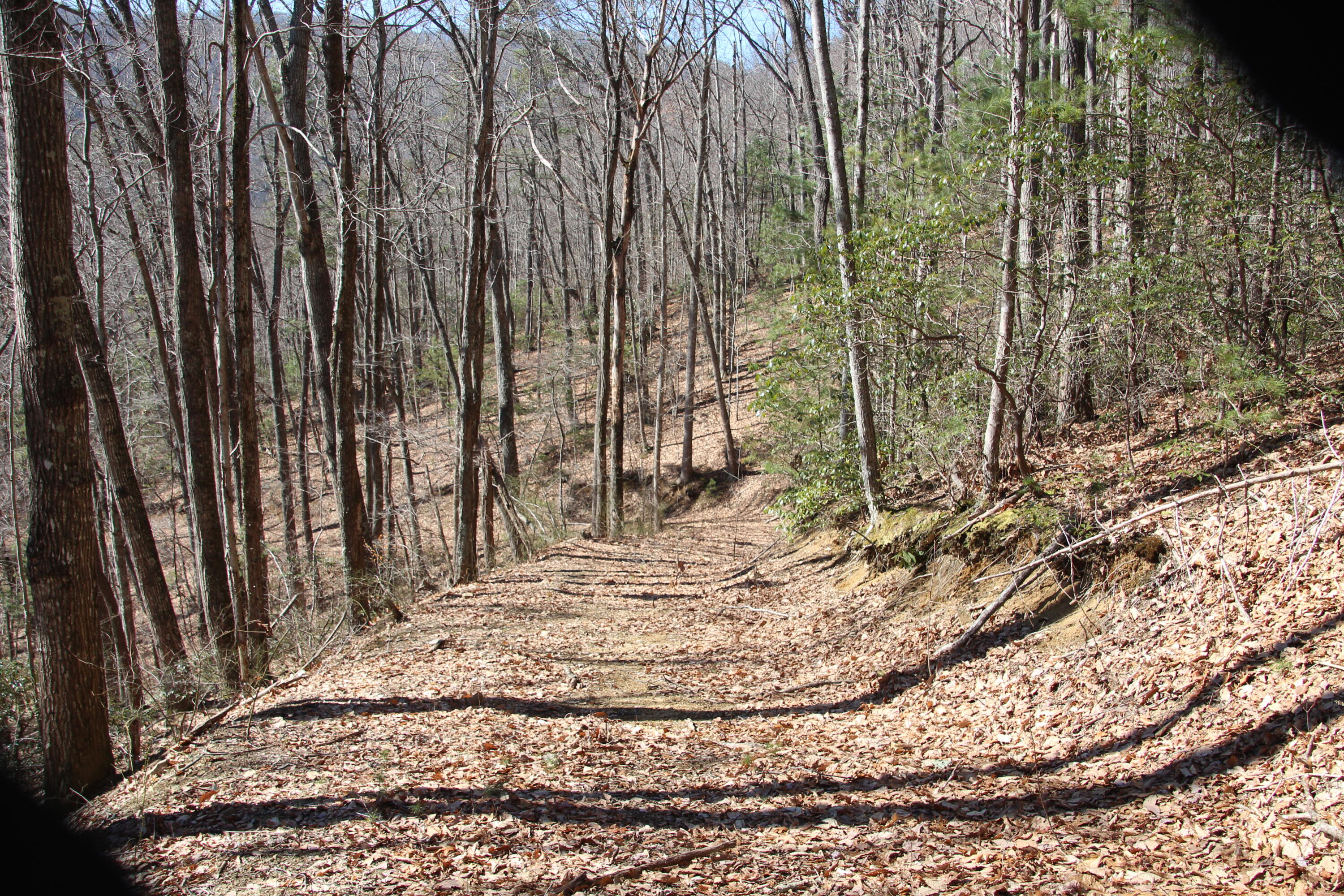000 Heaton Branch Road, Butler, Tennessee image 9