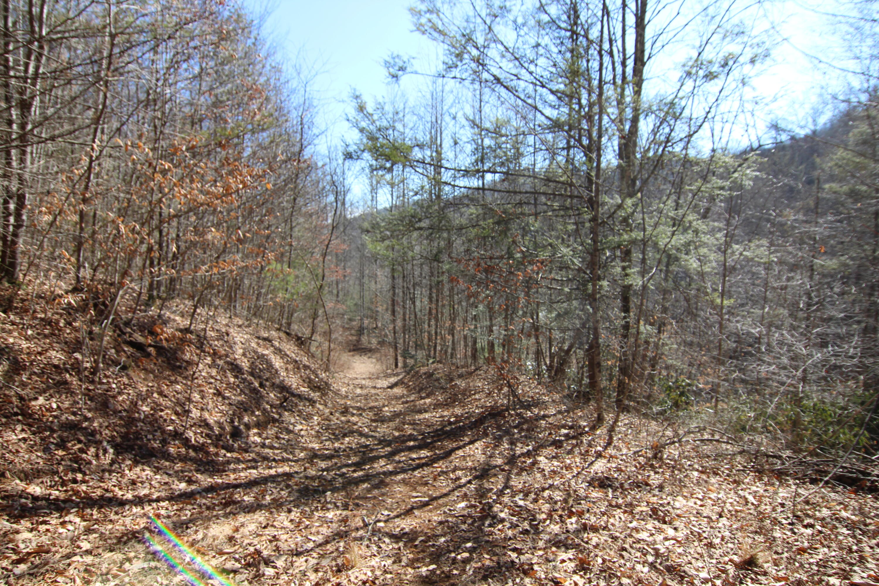 000 Heaton Branch Road, Butler, Tennessee image 17